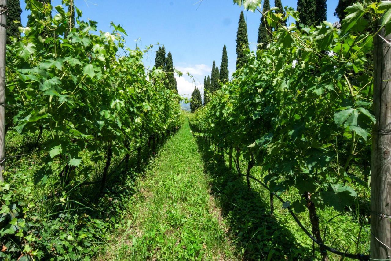 Villa Betteloni Valpolicella Suites San Pietro in Cariano Zewnętrze zdjęcie