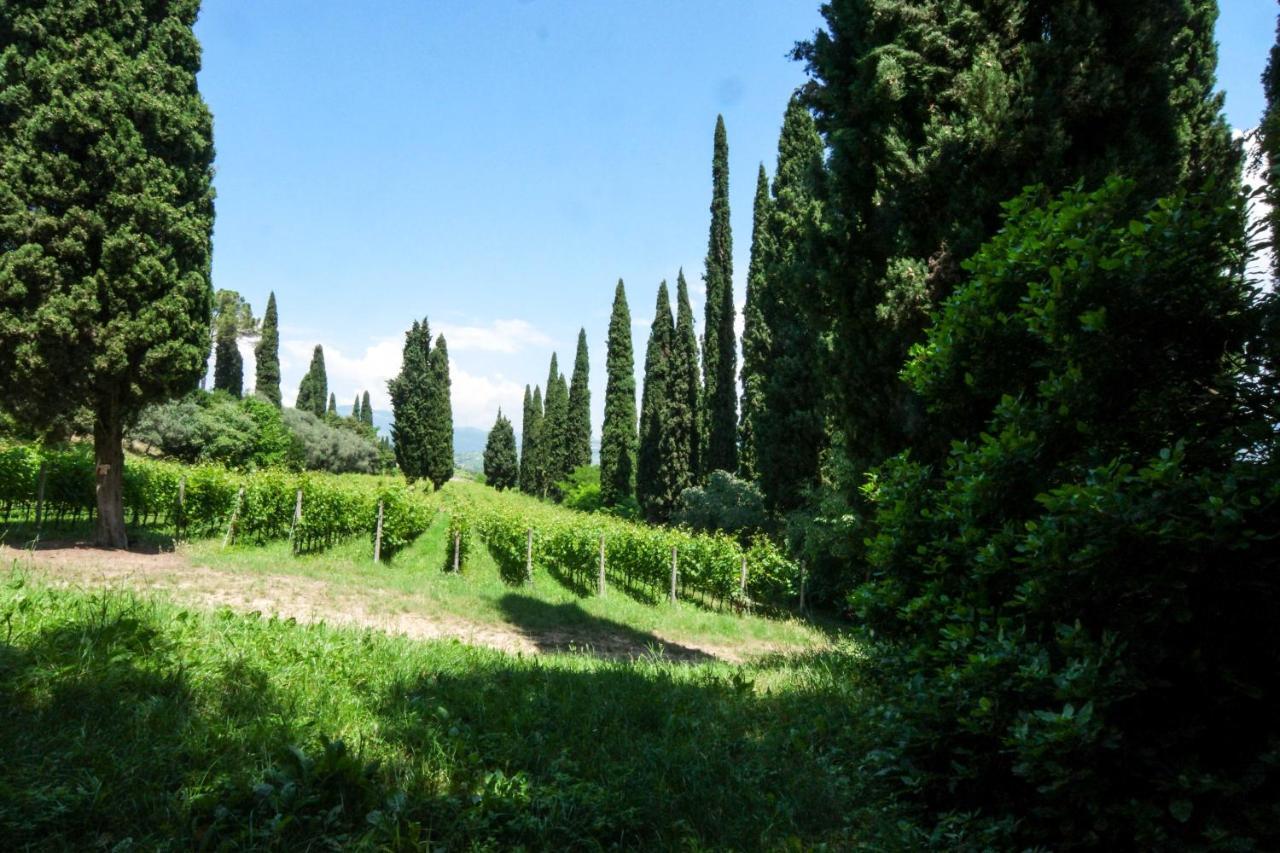 Villa Betteloni Valpolicella Suites San Pietro in Cariano Zewnętrze zdjęcie